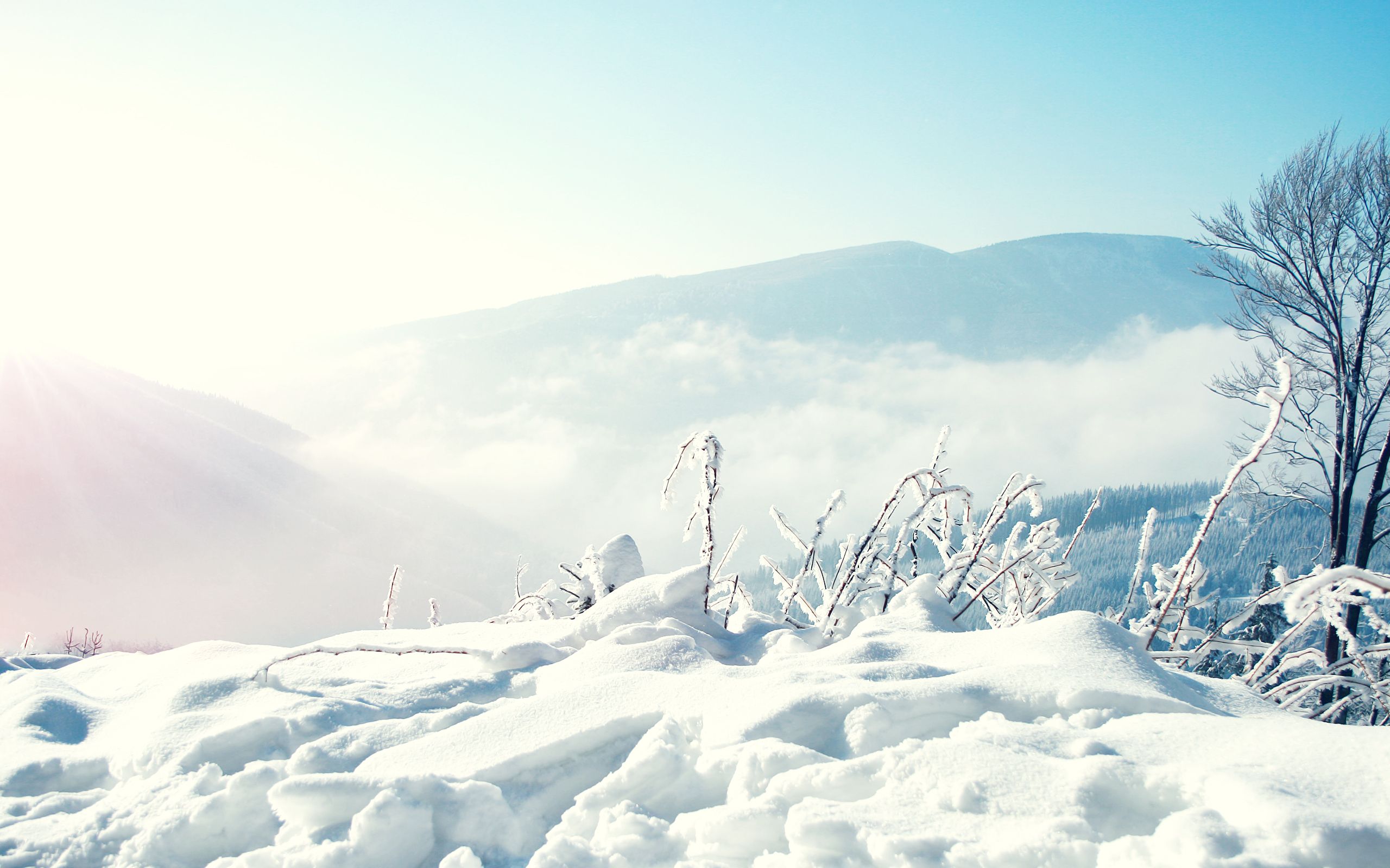 Anime Snow Landscape Wallpapers