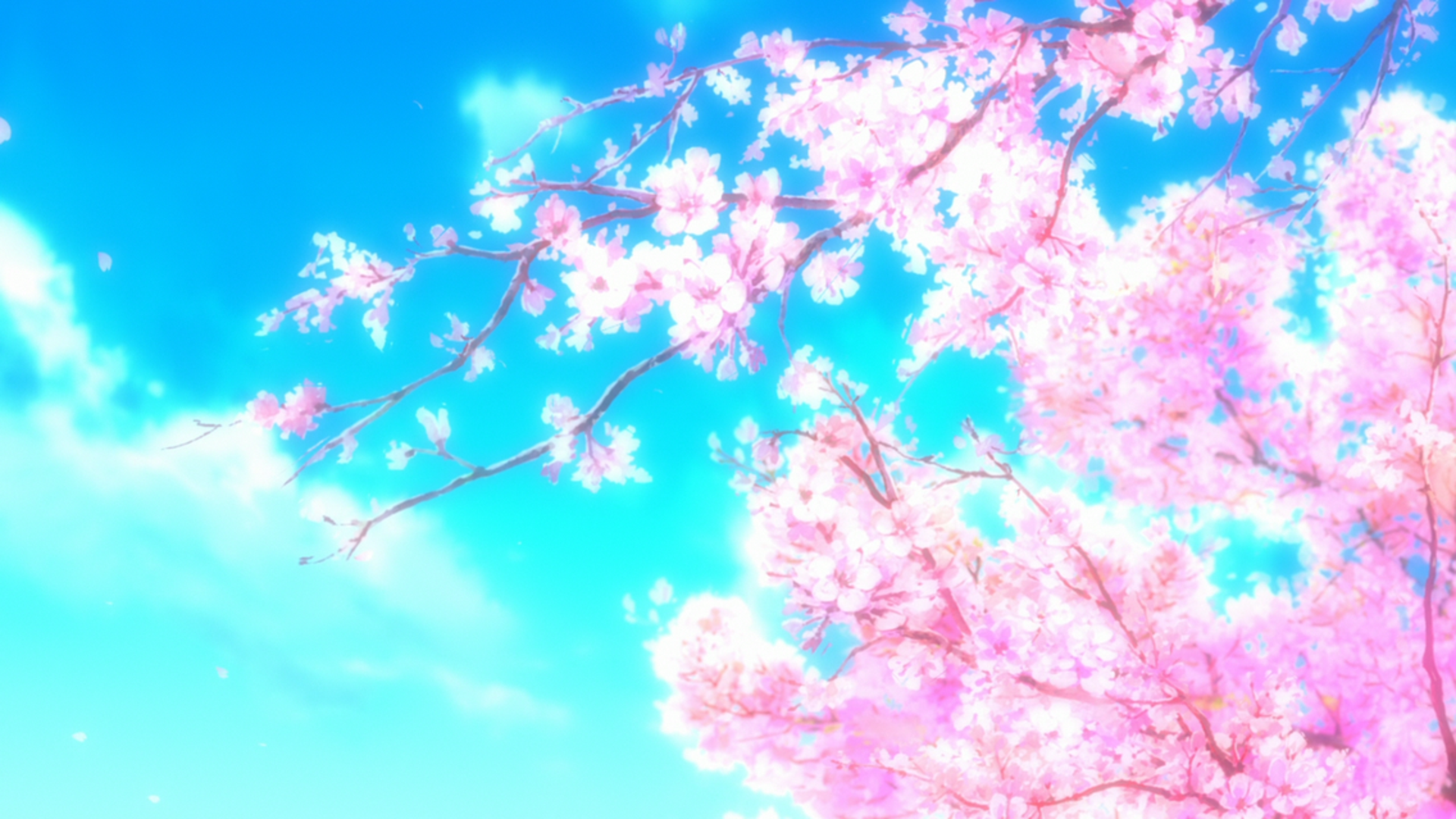 Anime Spring Hd Wallpapers