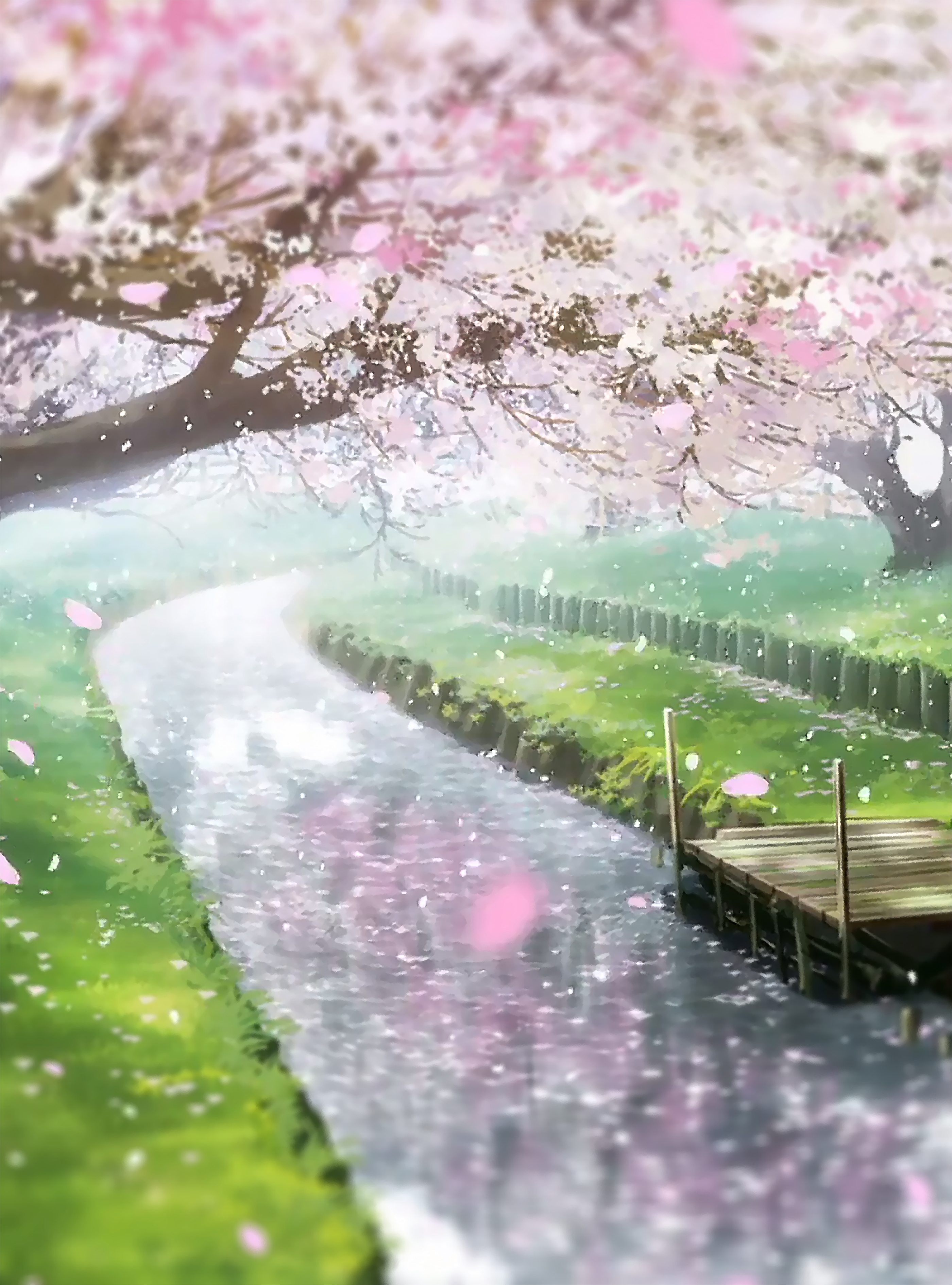 Anime Spring Scenery Wallpapers