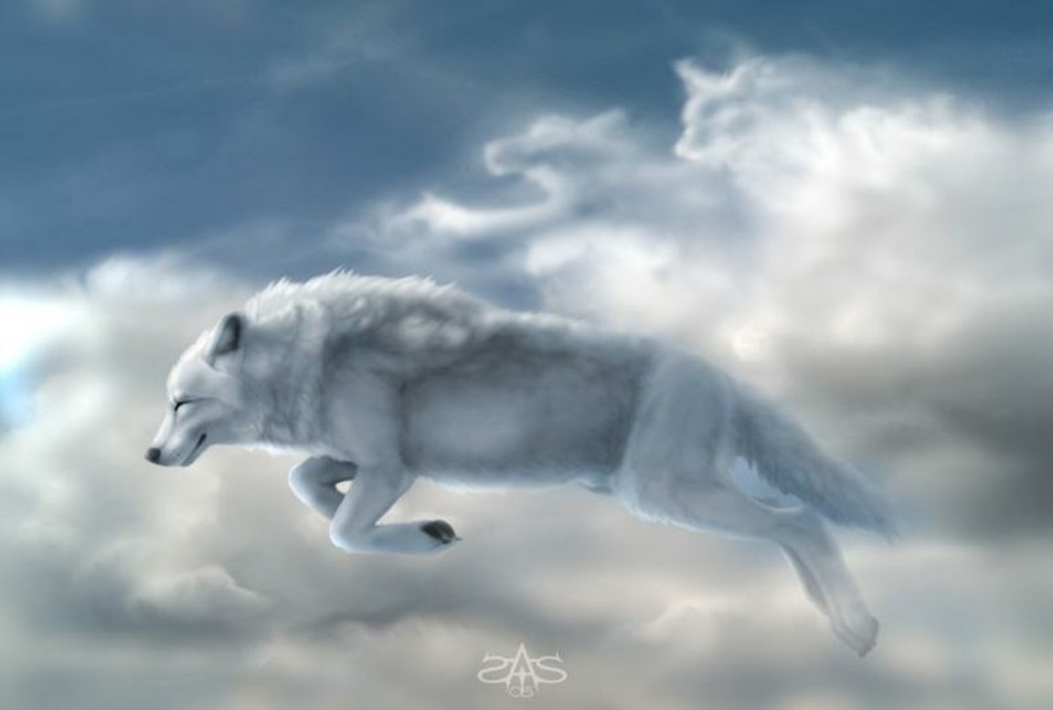 Anime White Wolf Wallpapers