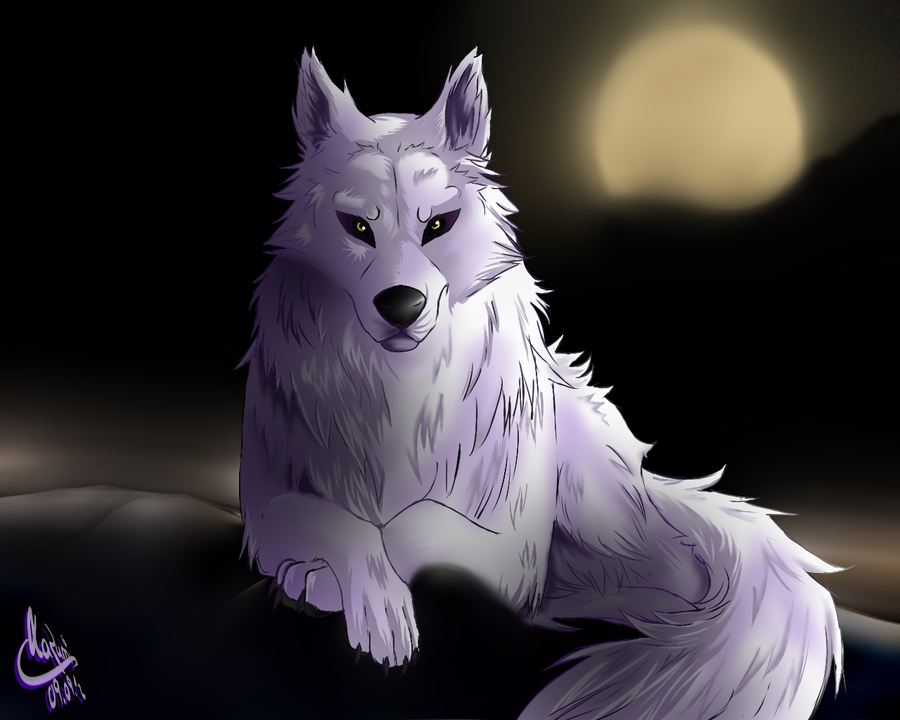 Anime White Wolf Wallpapers