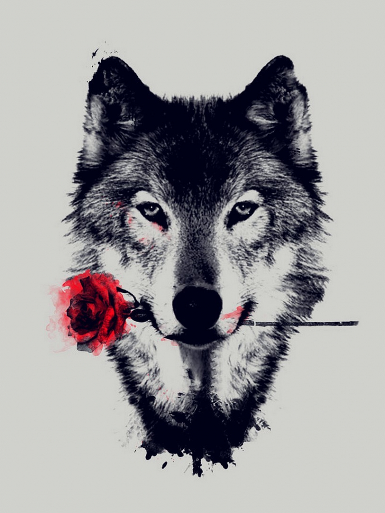 Anime Wolf Black Wallpapers