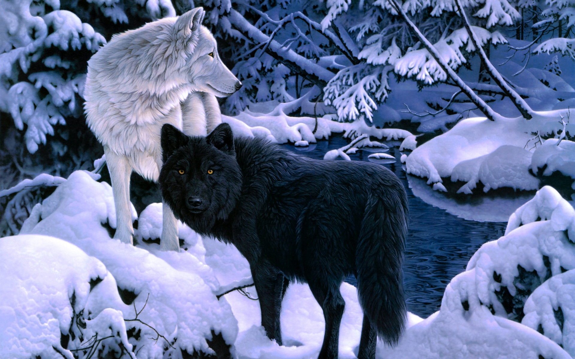 Anime Wolf Black Wallpapers