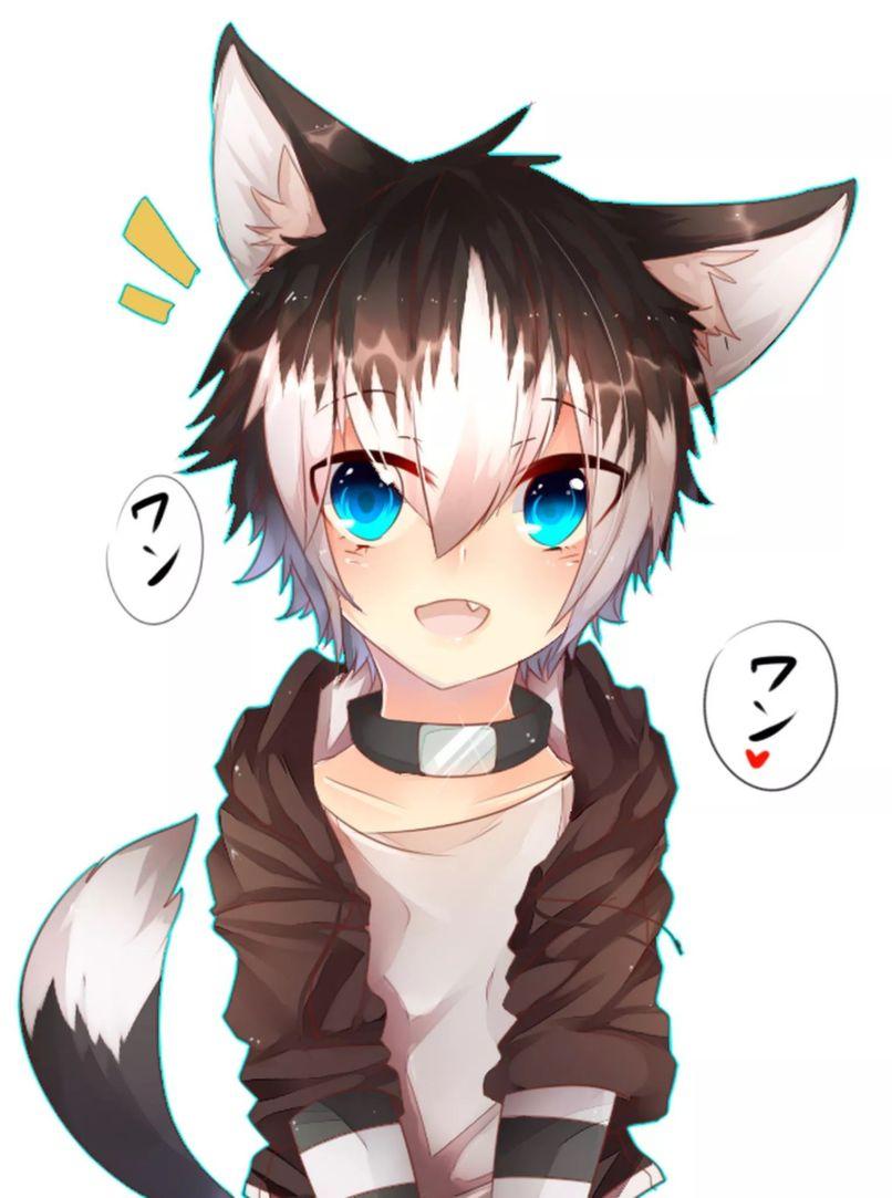 Anime Wolf Boy Wallpapers