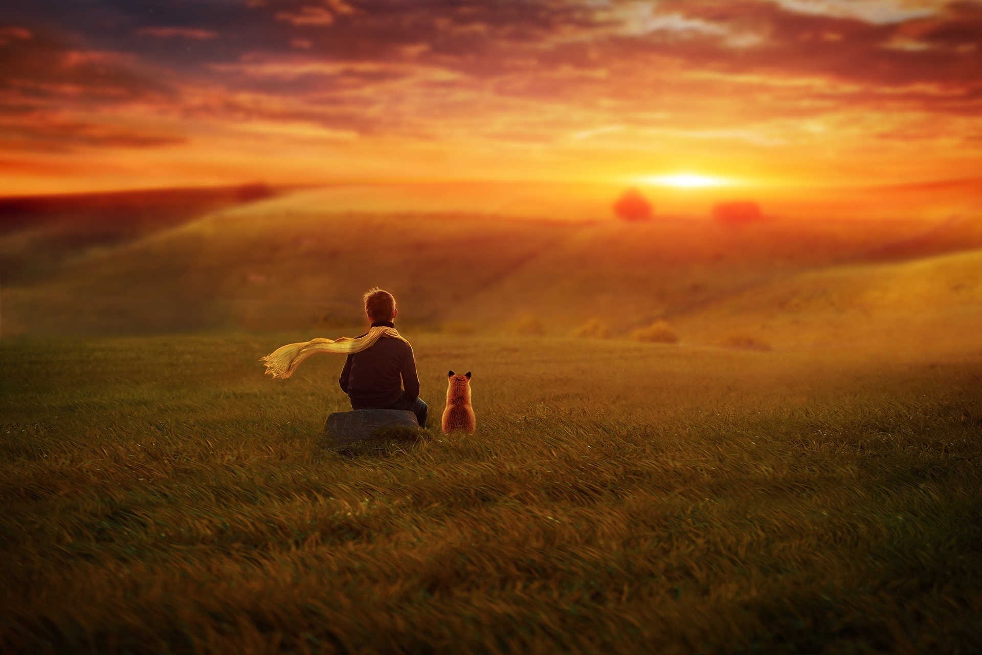 Boy And Dog Alone Wallpapers