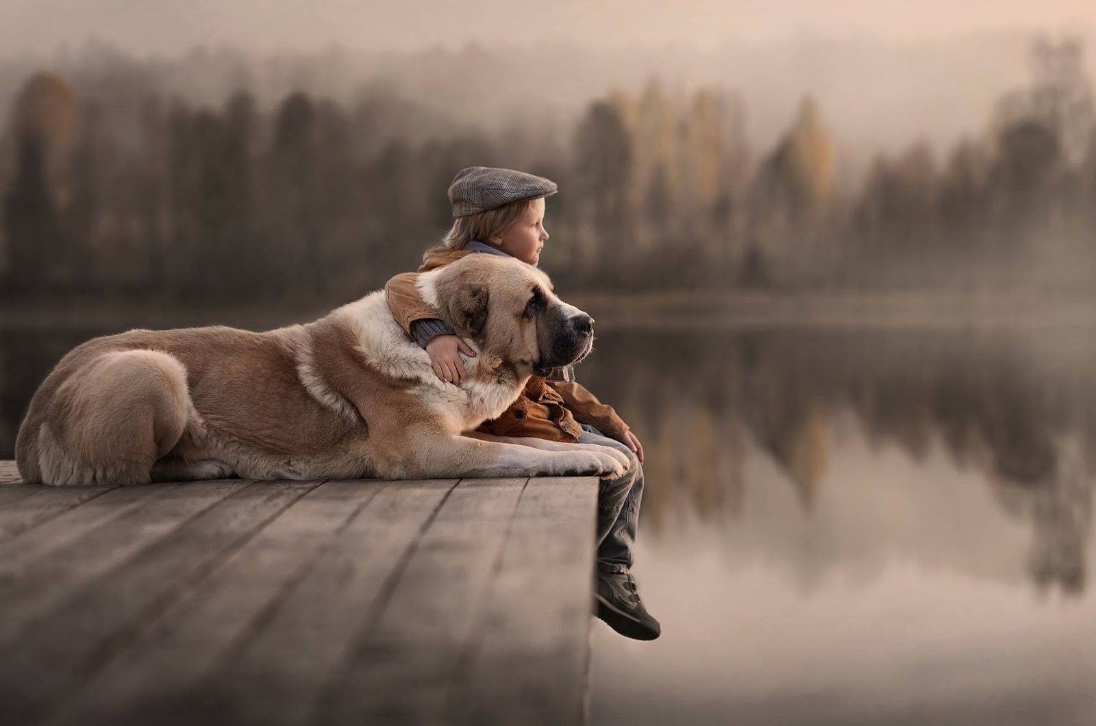 Boy And Dog Alone Wallpapers