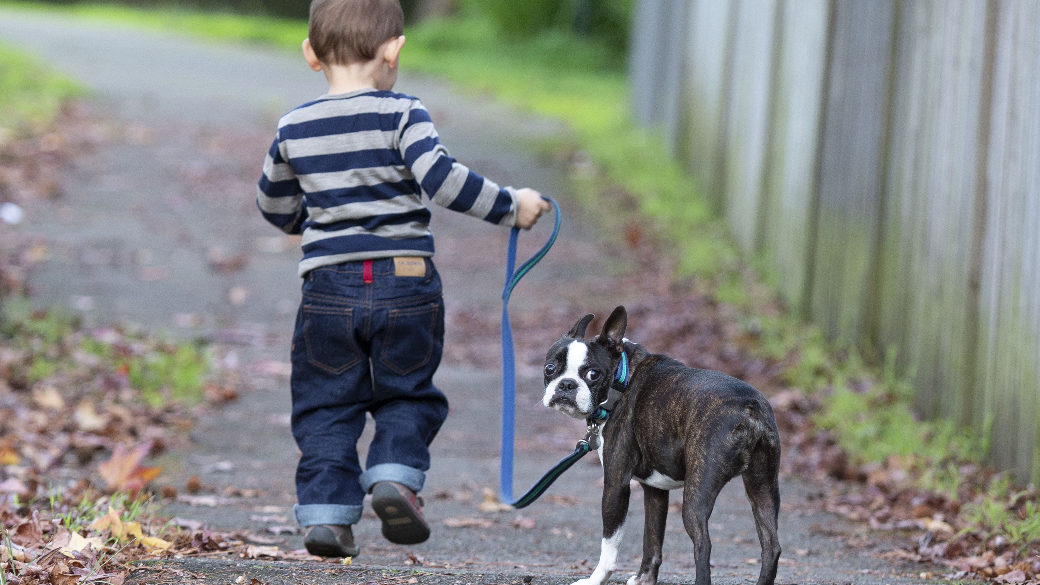 Boy And Dog Alone Wallpapers