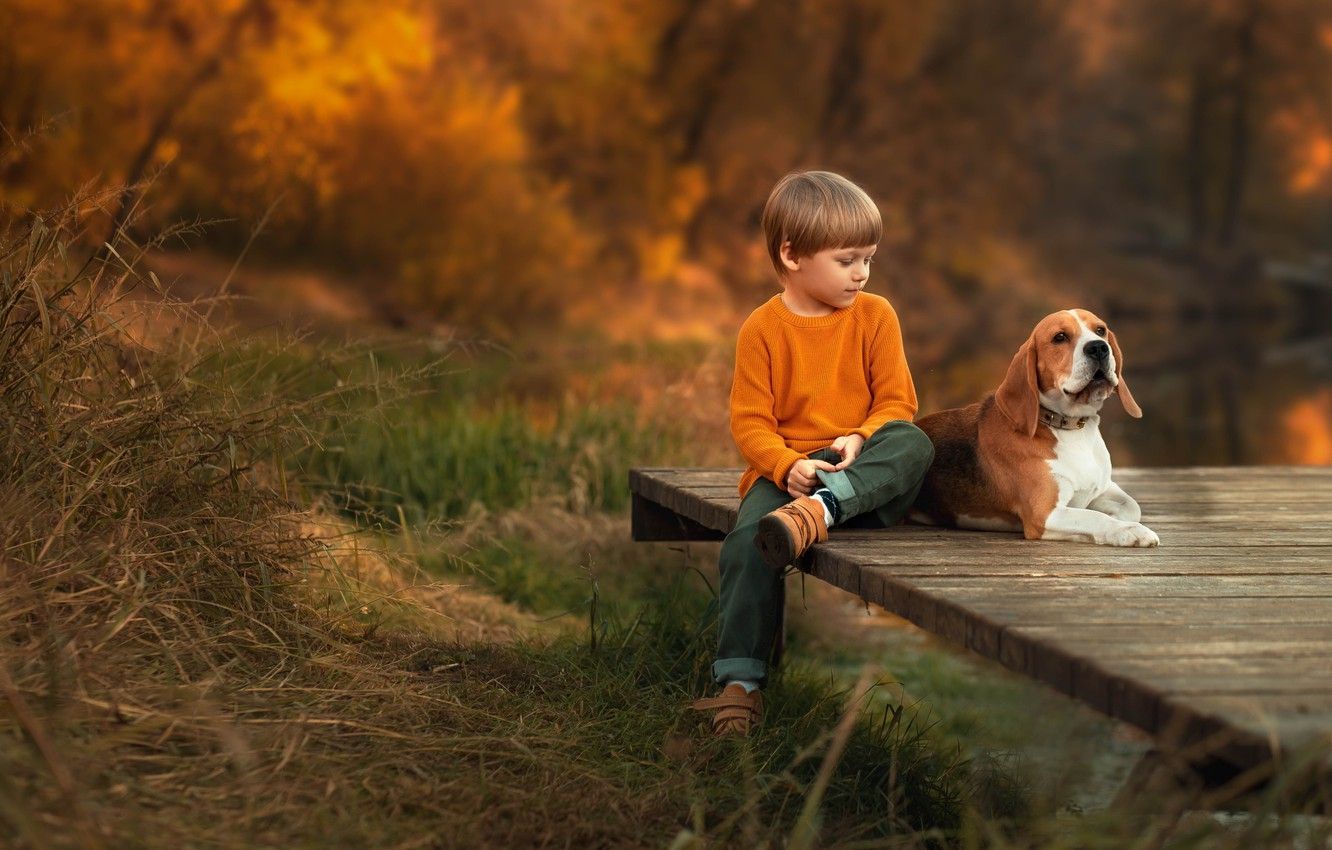 Boy And Dog Alone Wallpapers