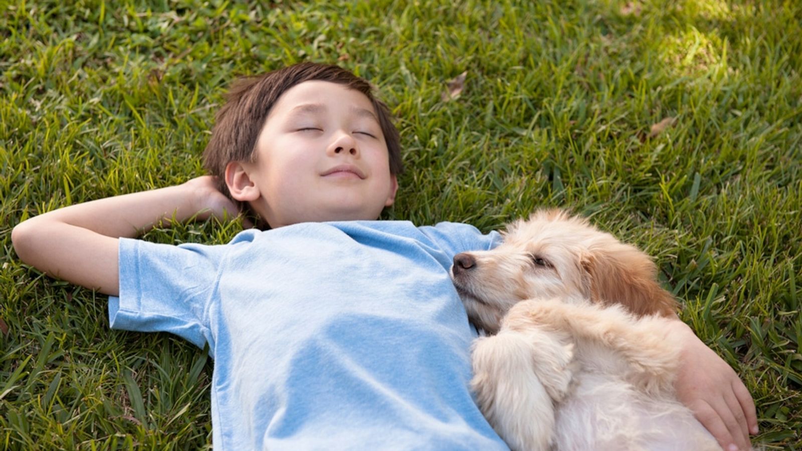 Boy And Dog Alone Wallpapers