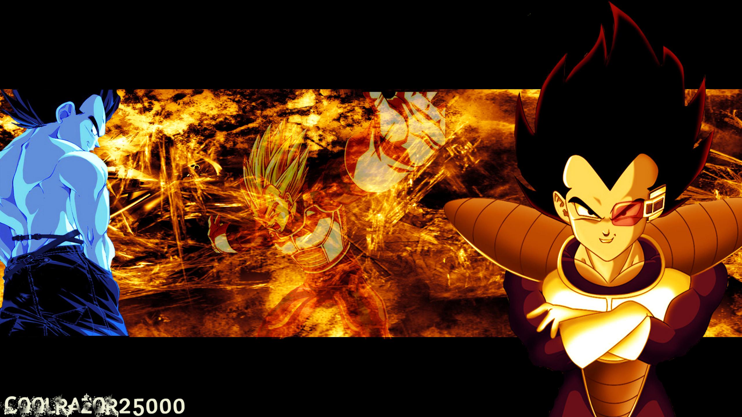 Dragon Ball Z Vegeta Wallpapers