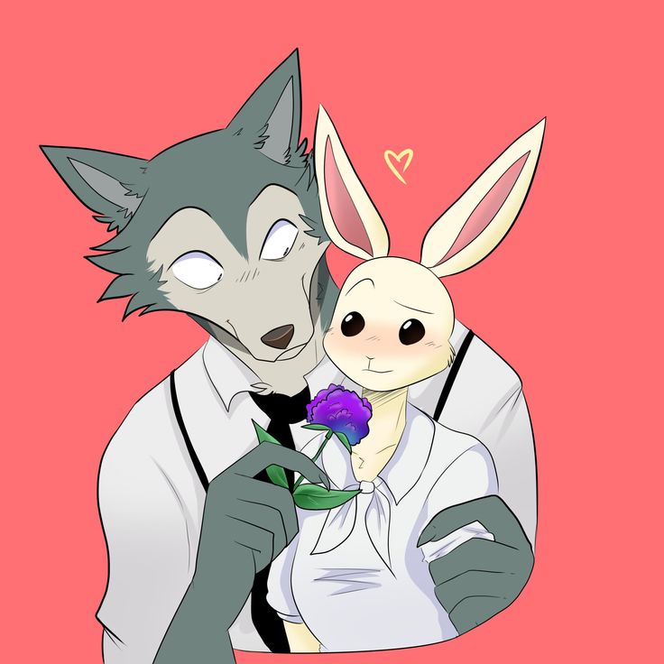 Furry Couple Anime Art Wallpapers