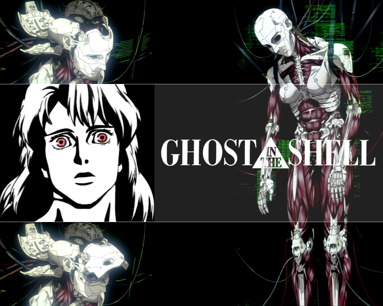 Ghost In The Shell Motoko Kusanagi Wallpapers