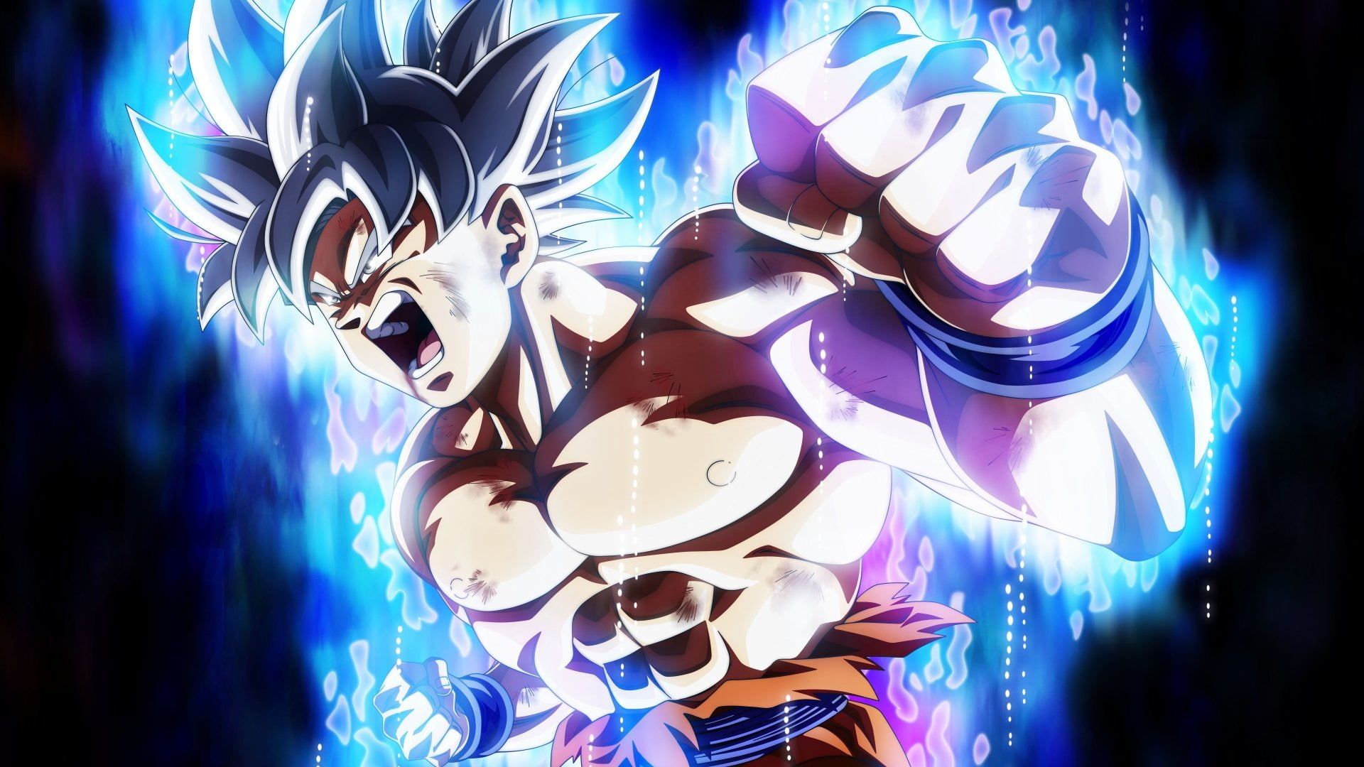 Goku Ultra Instinct Dragon Ball Wallpapers