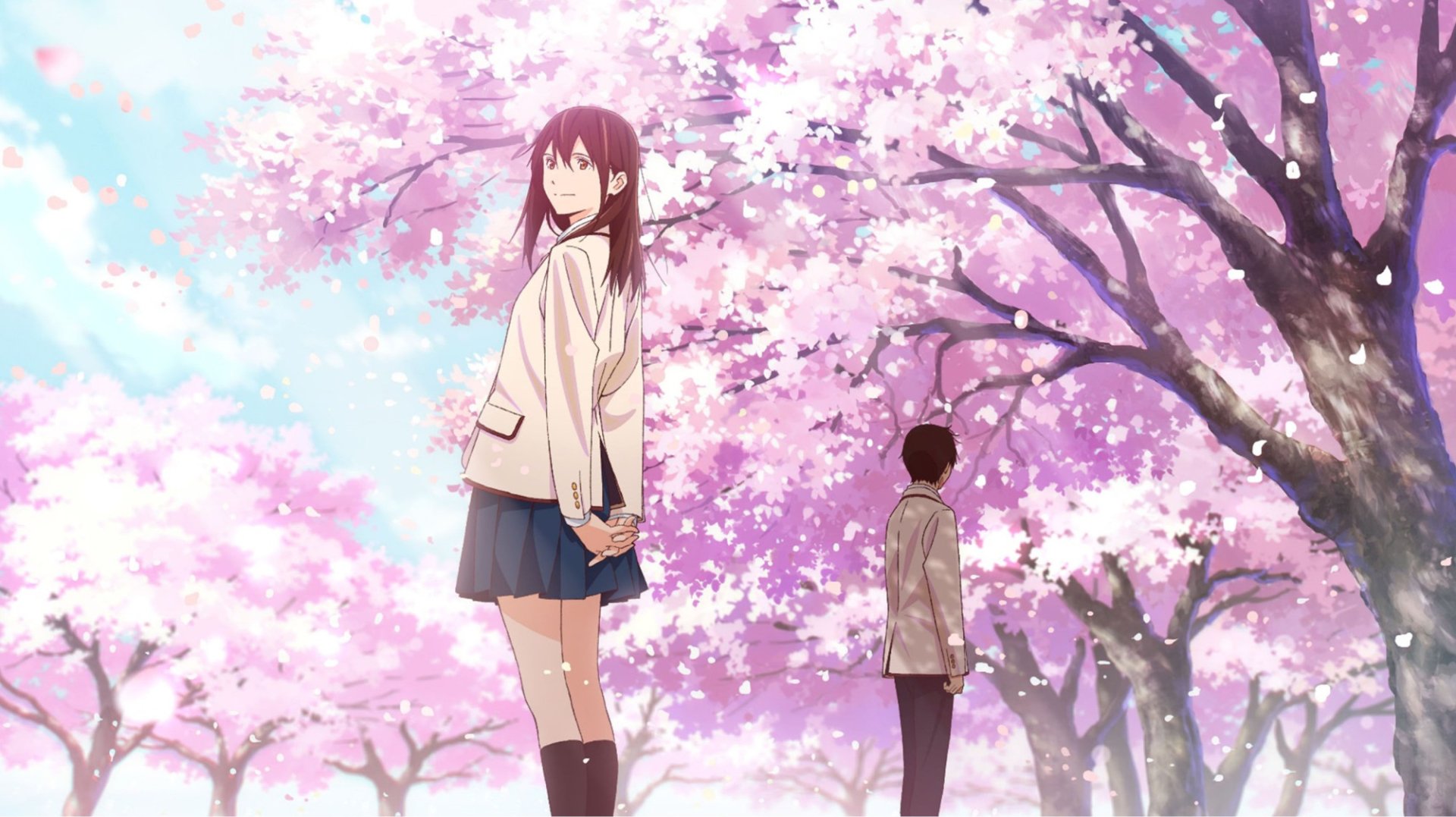 I Want To Eat Your Pancreas Wallpapers