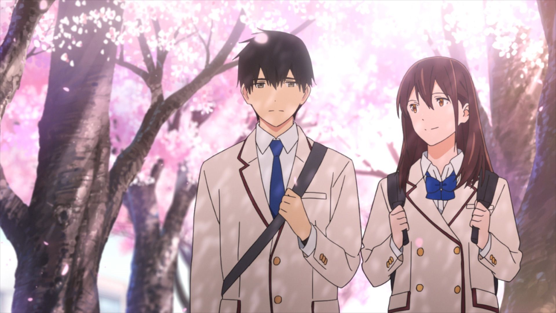 I Want To Eat Your Pancreas Wallpapers