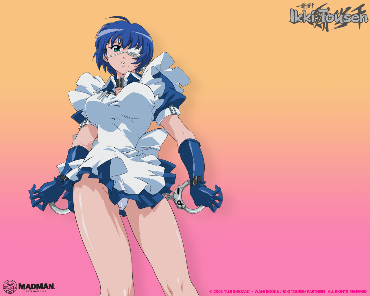 Ikki Tousen Wallpapers