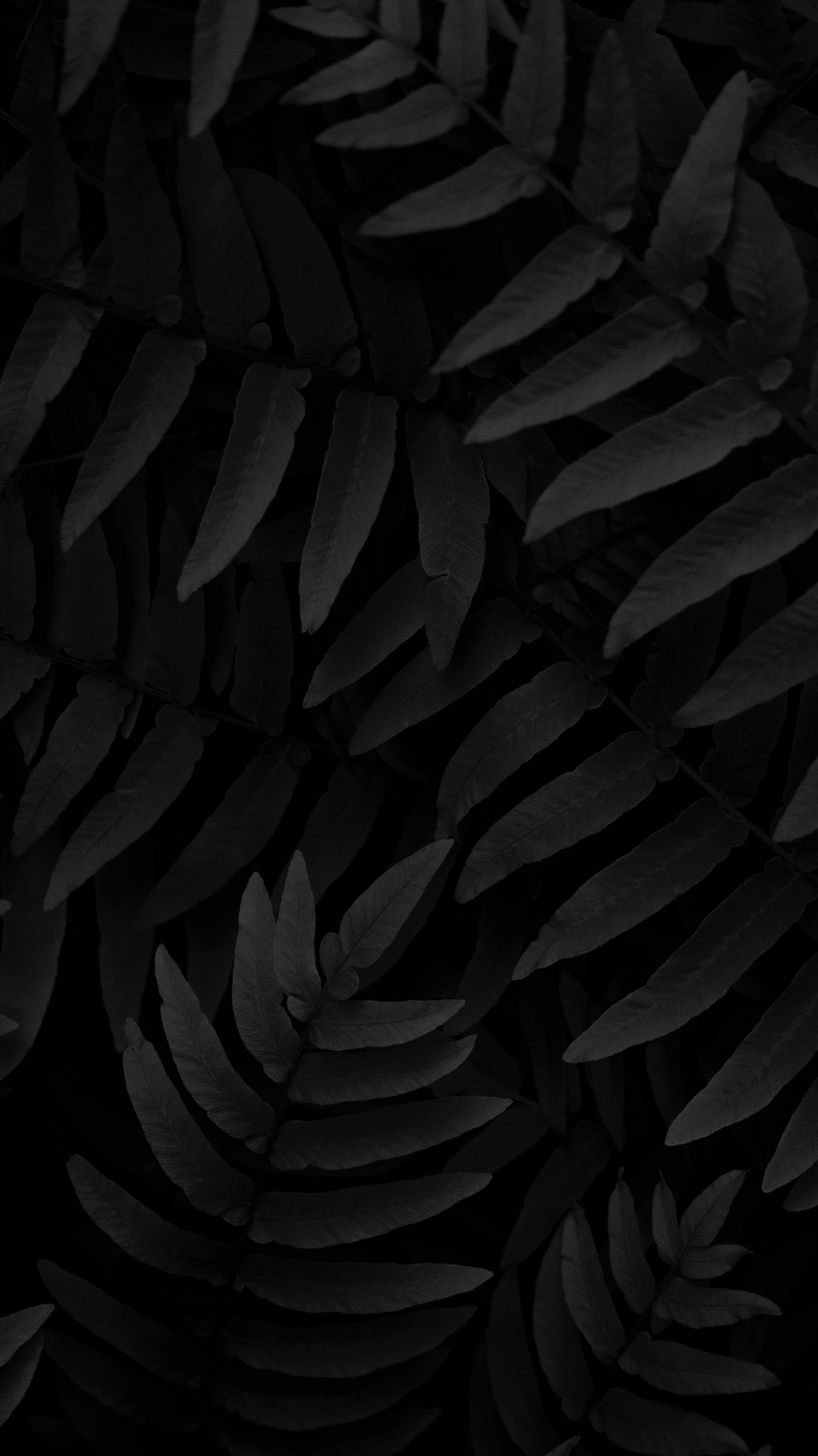 Monochrome Wallpapers