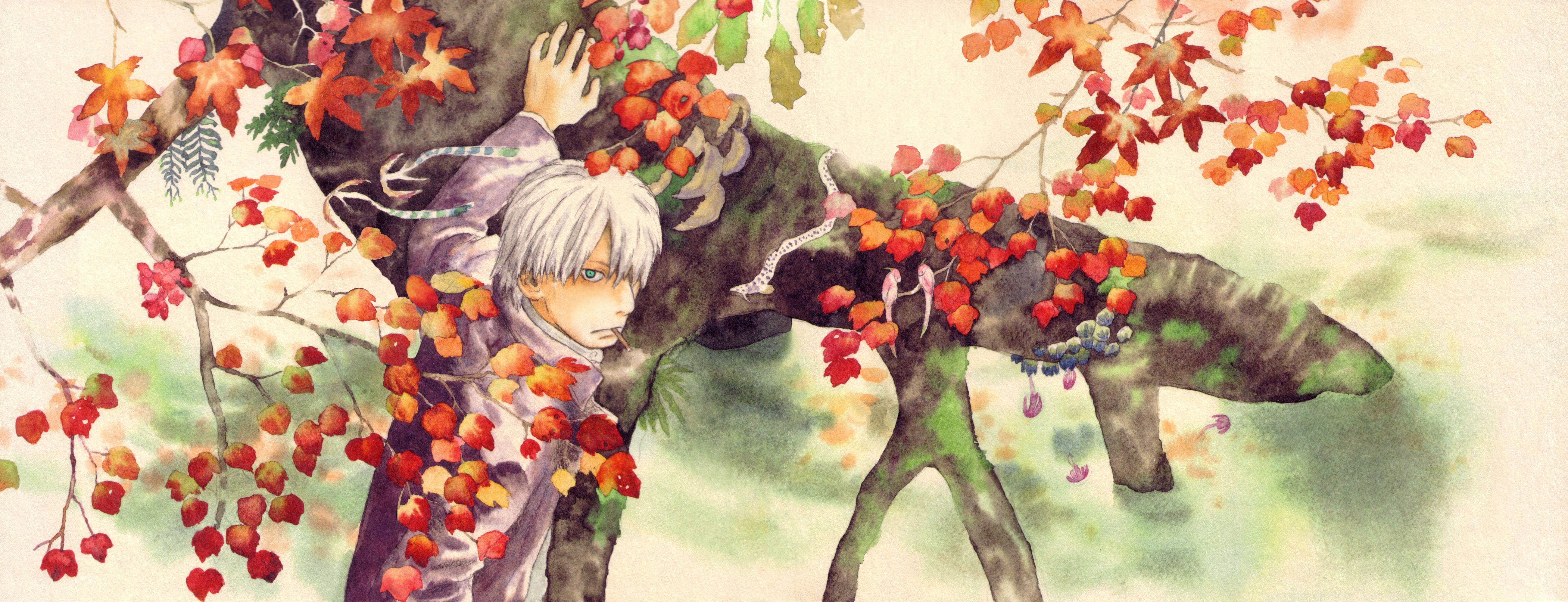 Mushishi Art Wallpapers