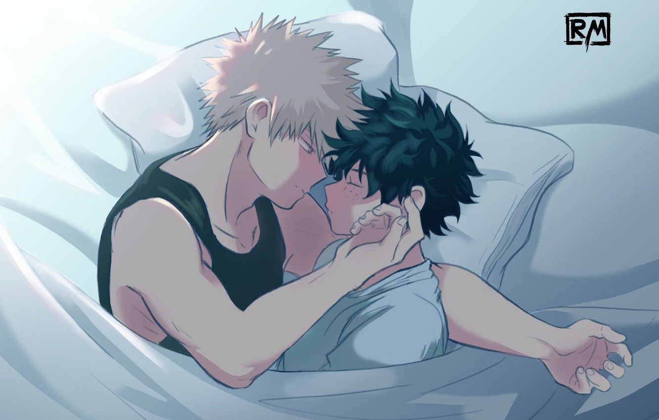 My Hero Academia Gay Wallpapers