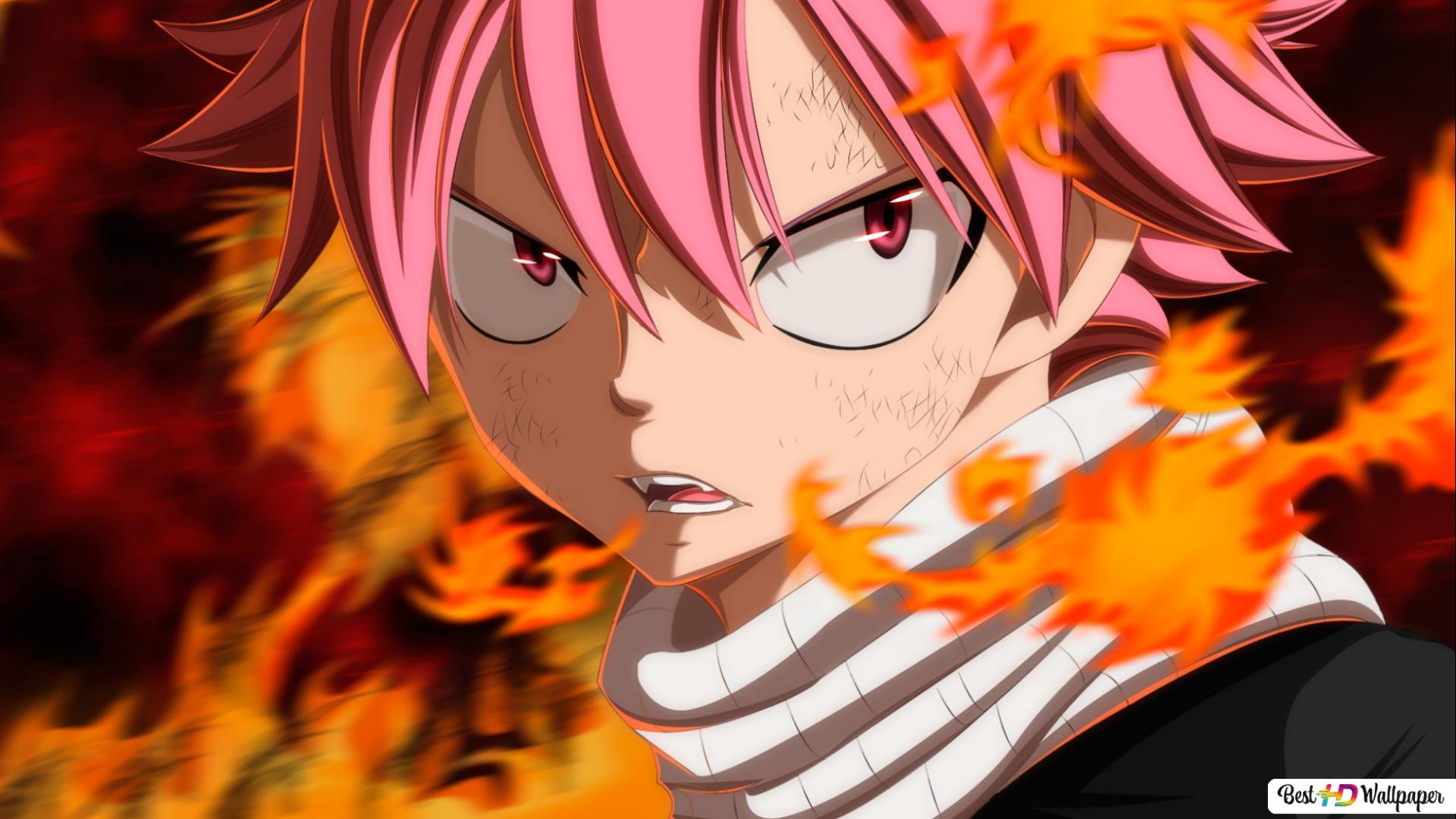 Natsu Dragneel Fairy Tail Wallpapers