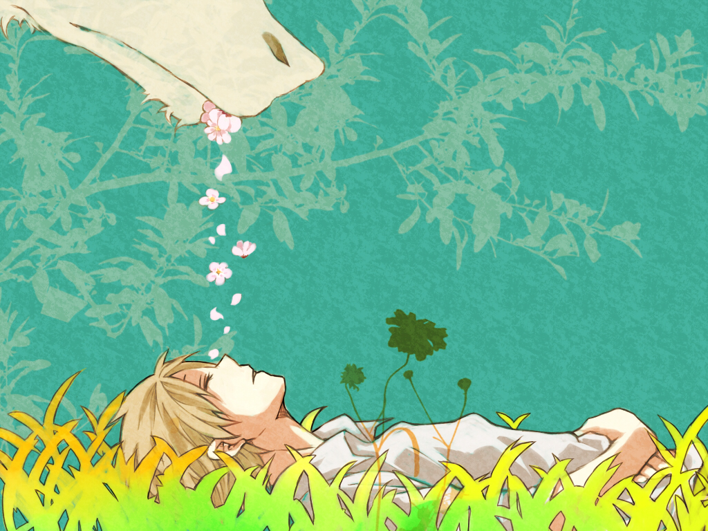 Natsume'S Book Of Friends Wallpapers