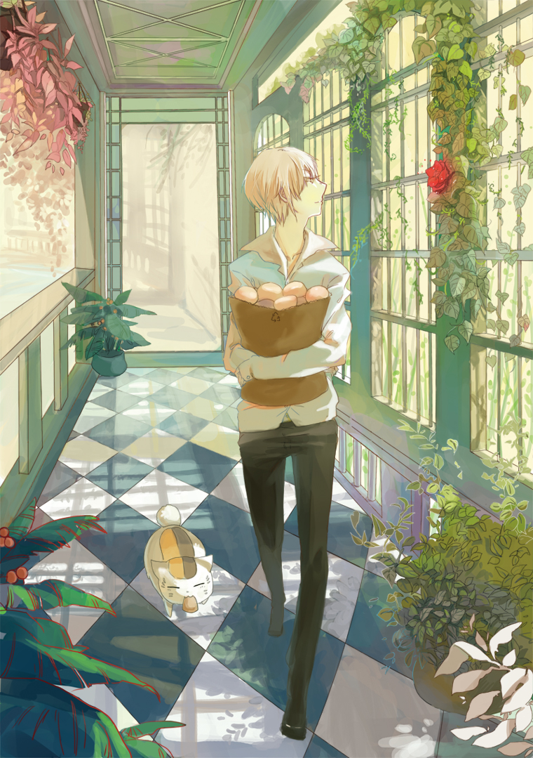 Natsume'S Book Of Friends Wallpapers