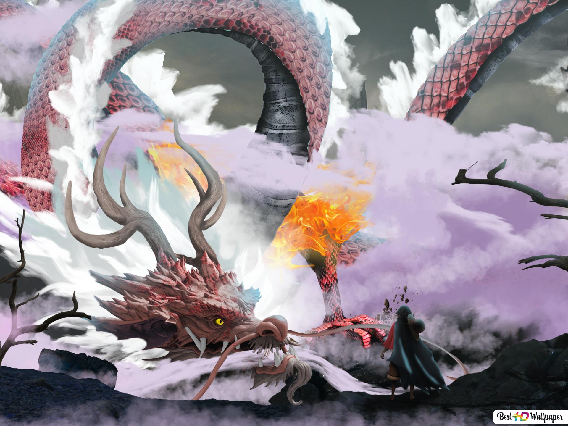 One Piece Dragon Wallpapers