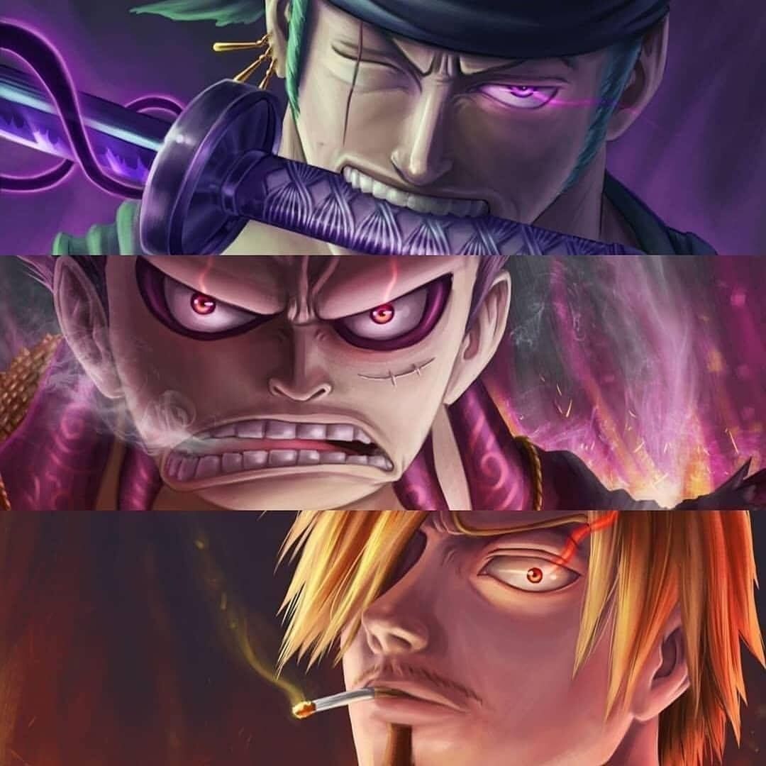 One Piece Trio Wallpapers