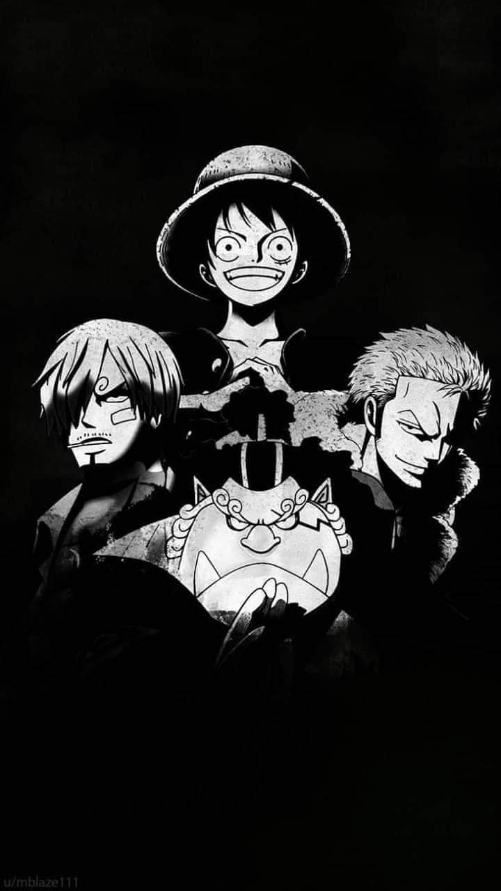 One Piece Trio Wallpapers