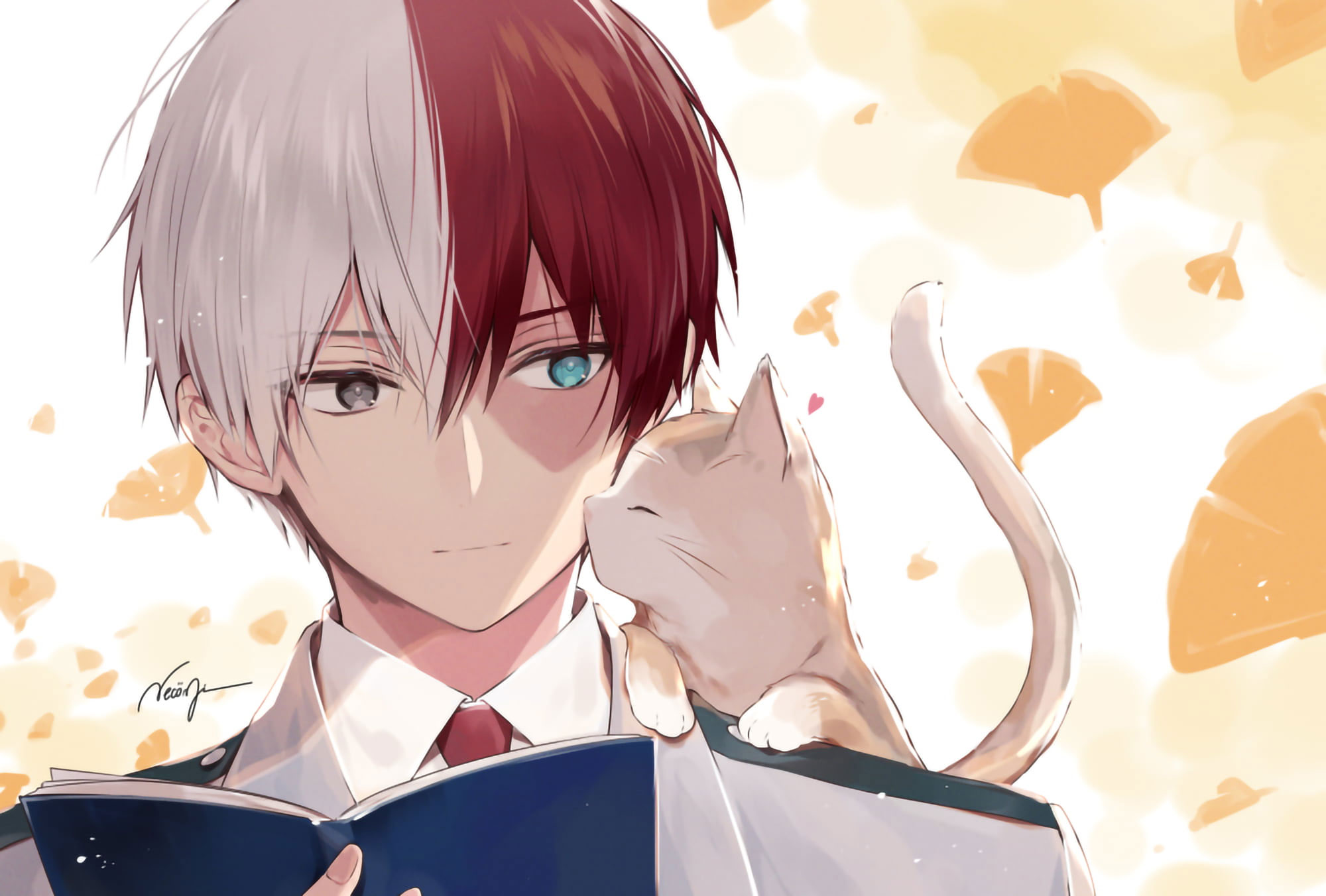 Shoto Todoroki Anime Wallpapers