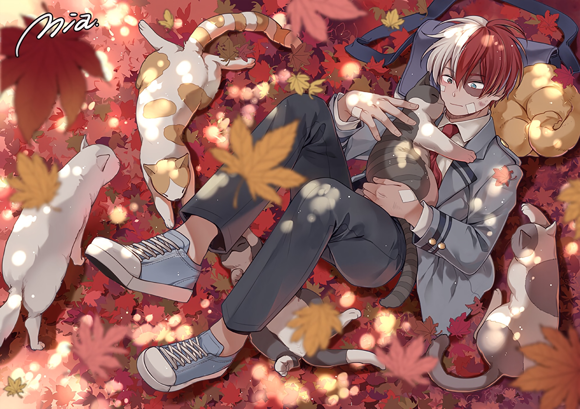 Shoto Todoroki Anime Wallpapers