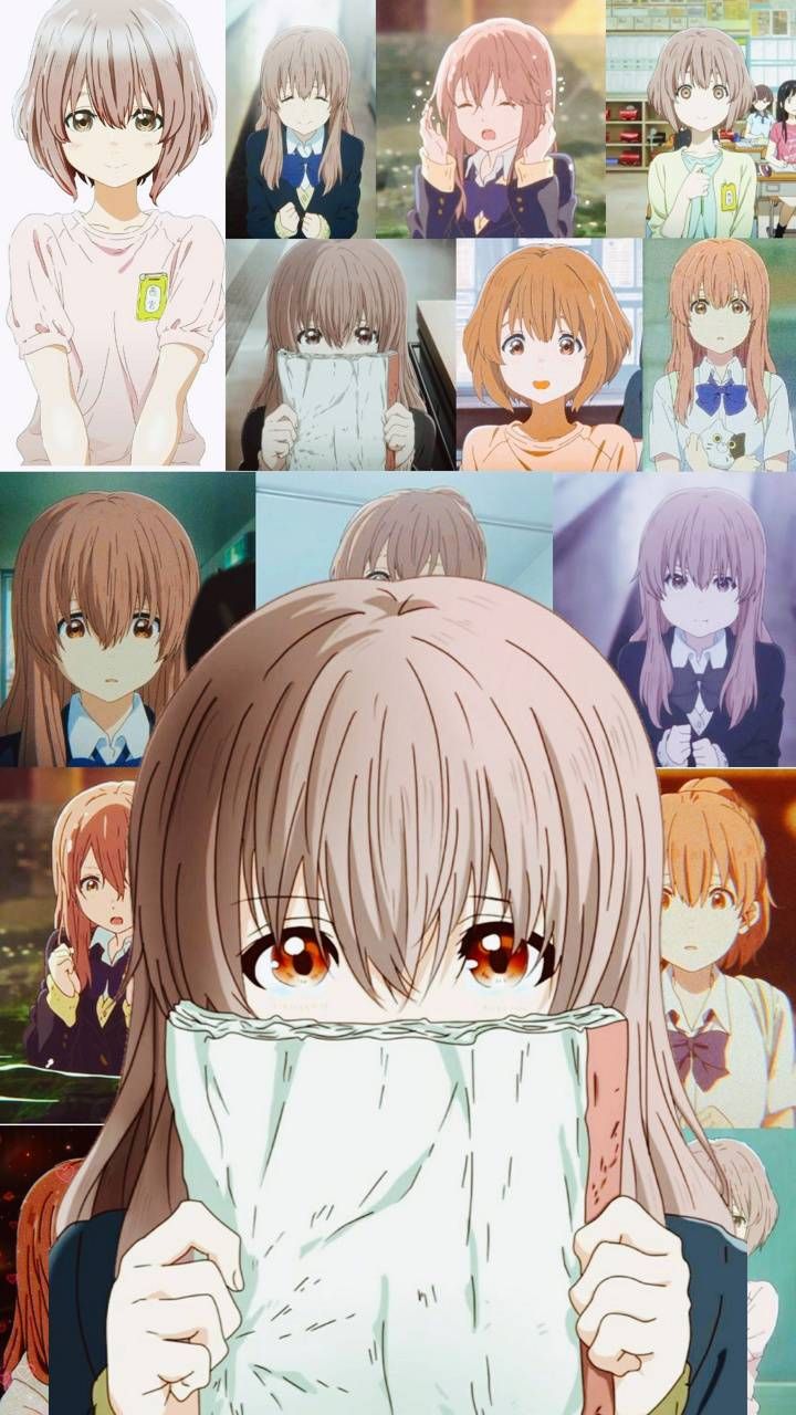 Shouko Nishimiya Wallpapers