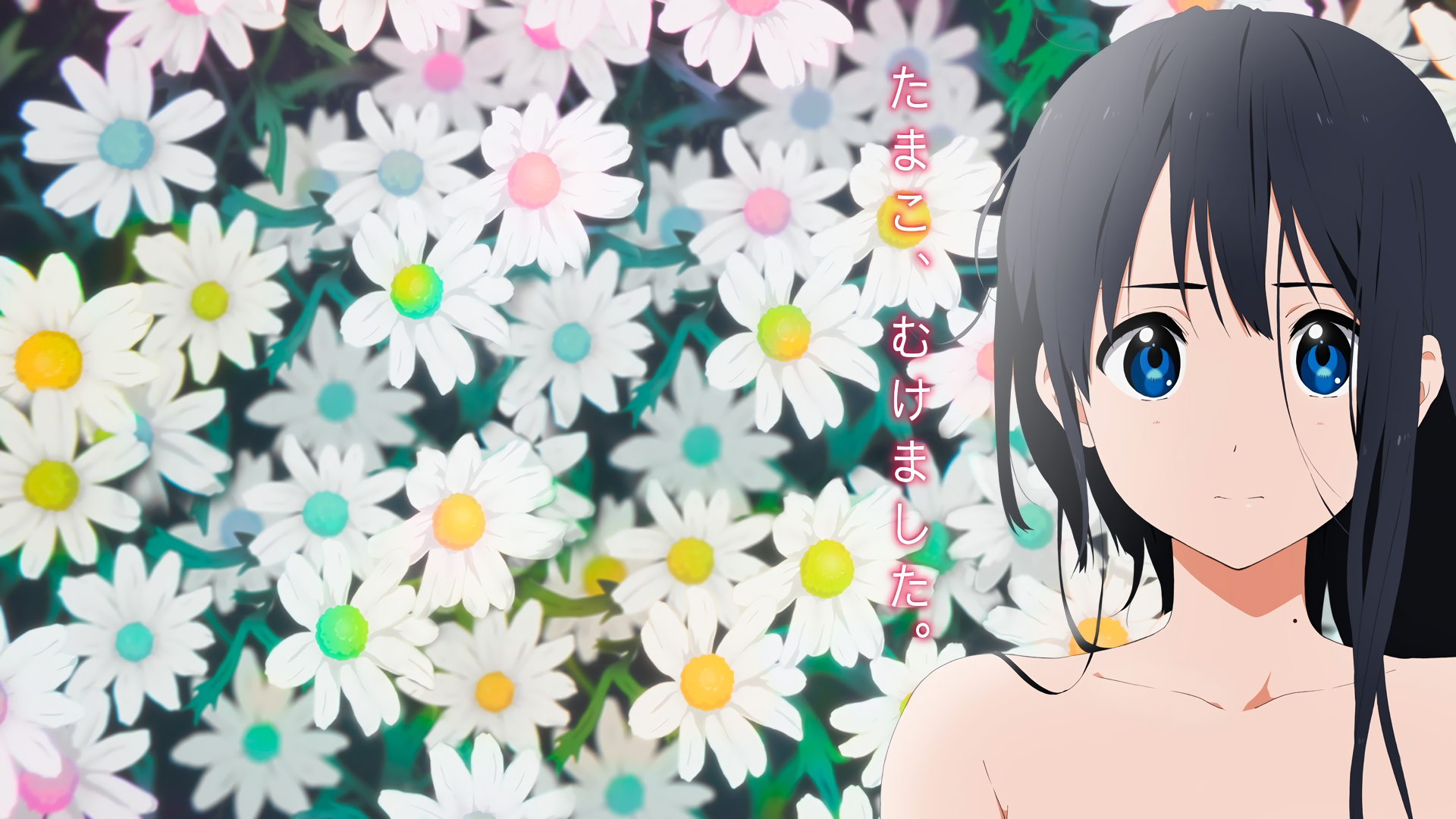 Tamako Market Wallpapers