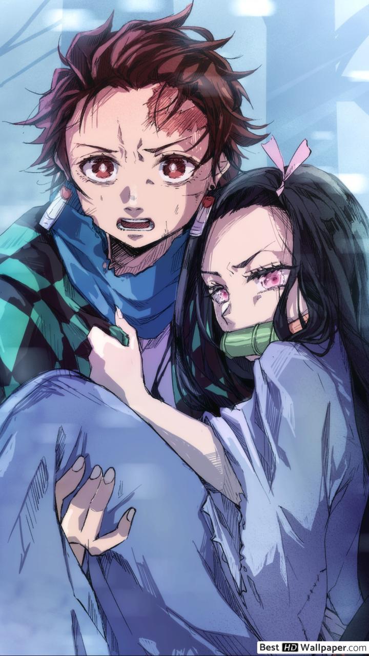 Tanjirou Kamado And Nezuko Kamado Wallpapers