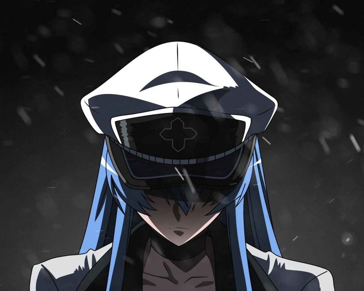 Tatsumi And Esdeath Wallpapers