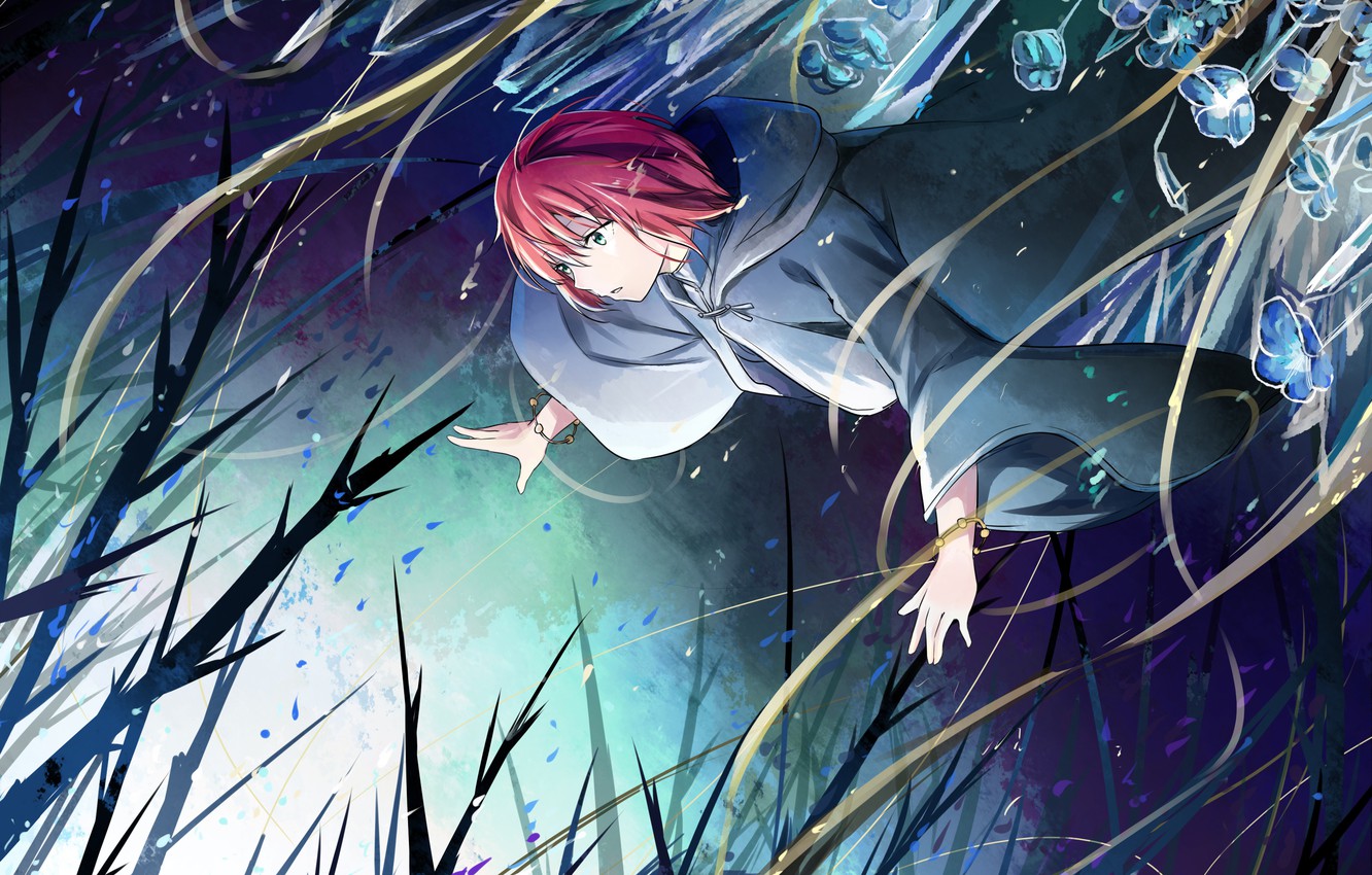 The Ancient Magus' Bride Wallpapers