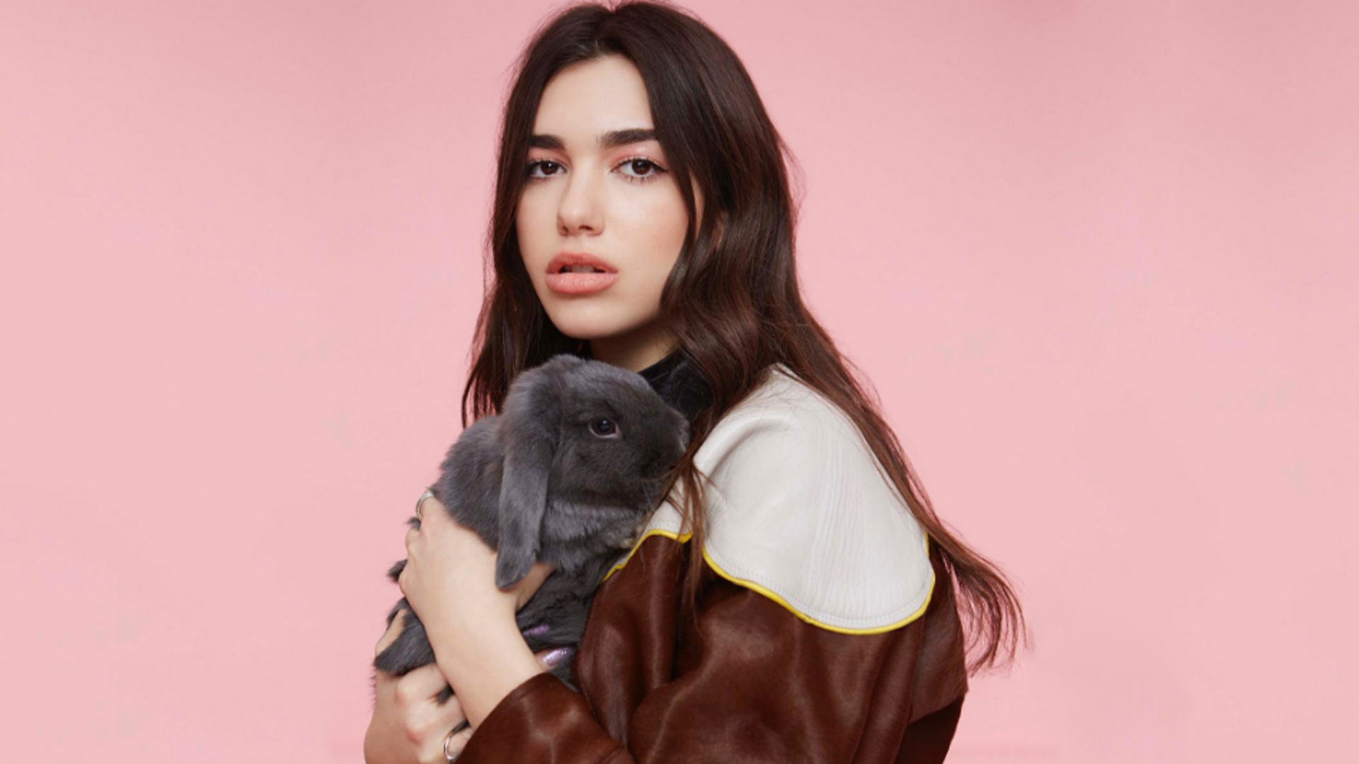 4K Dua Lipa Wallpapers