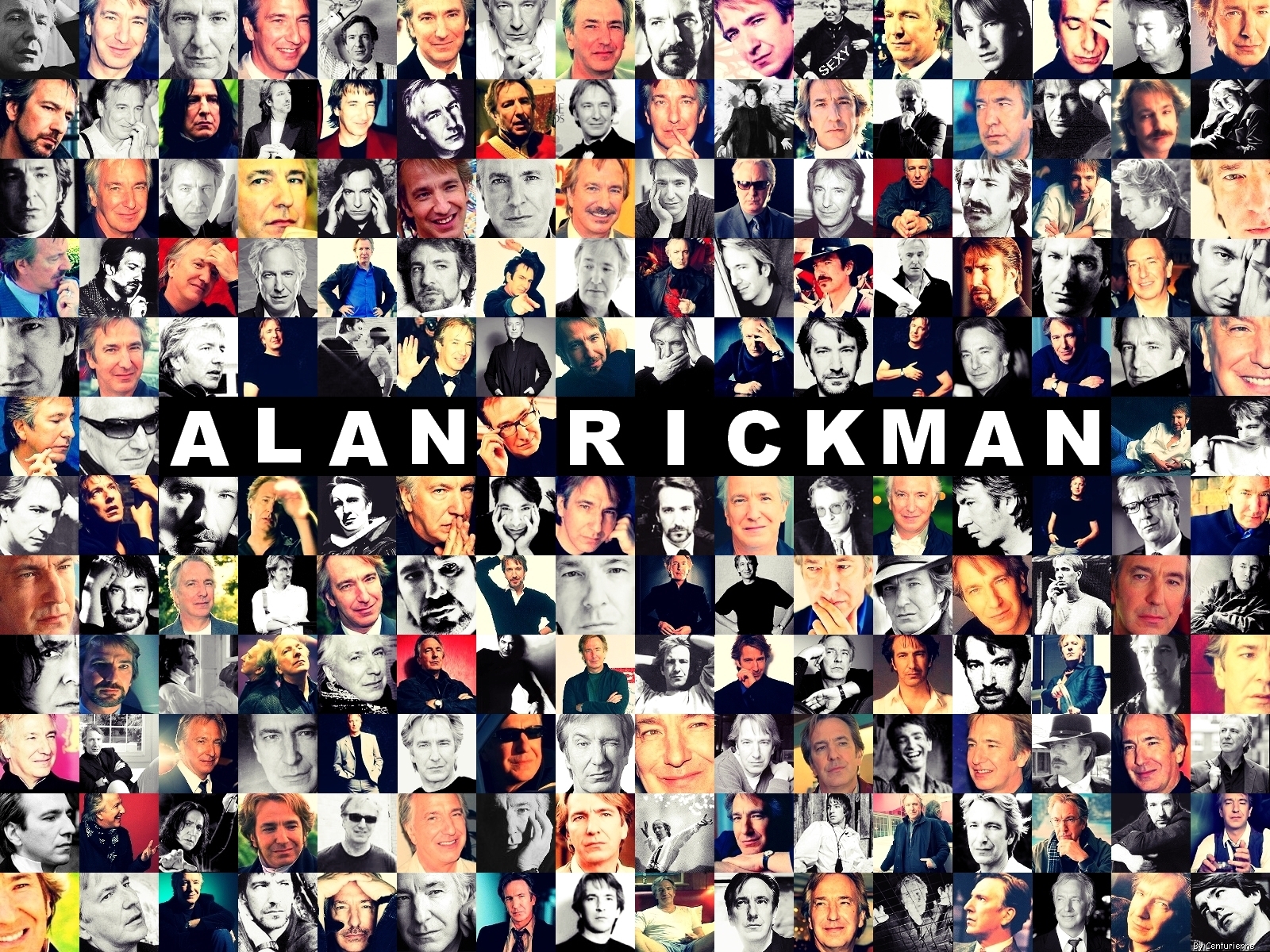 Alan Rickman Wallpapers