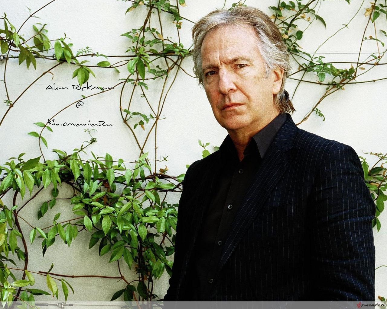 Alan Rickman Wallpapers