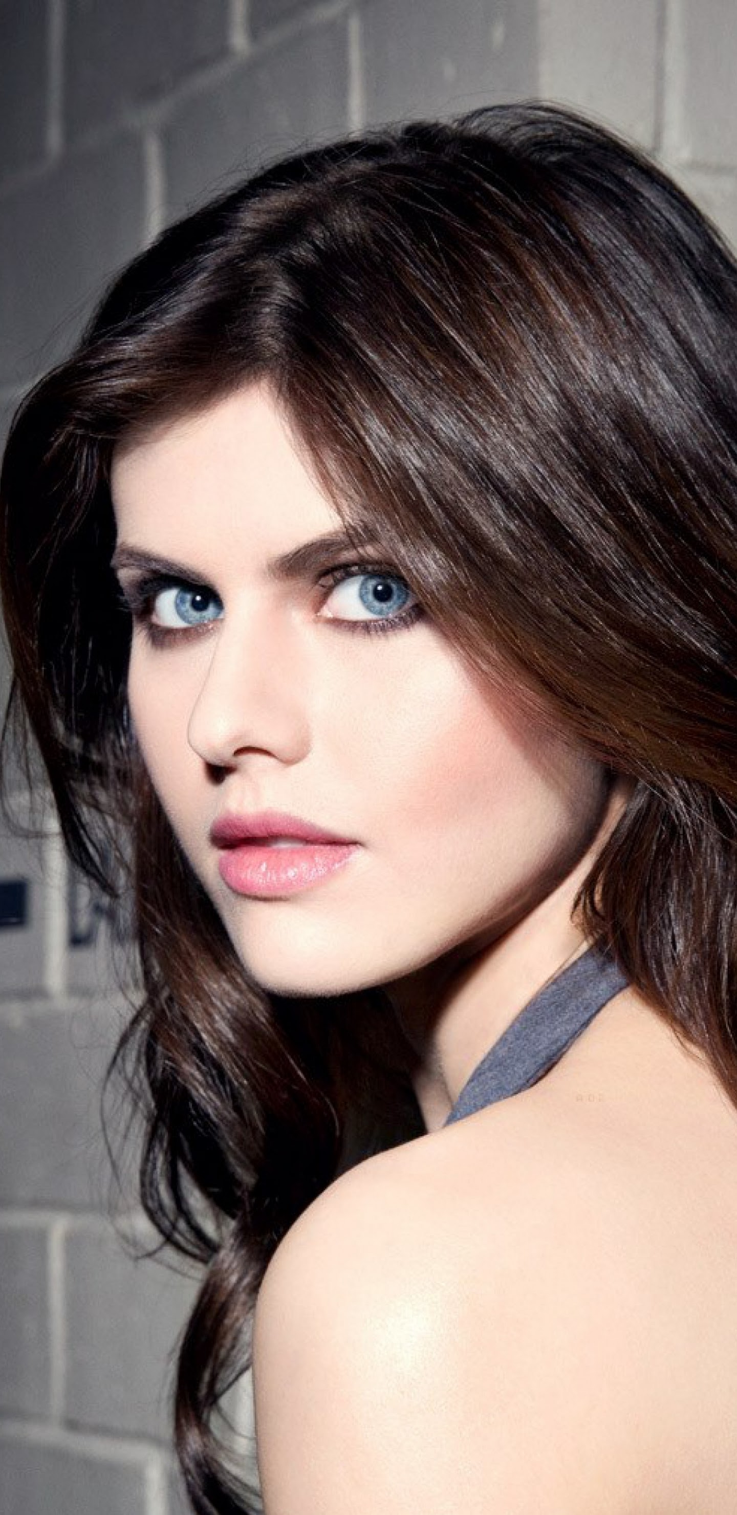 Alexandra Daddario AOL Portrait Wallpapers