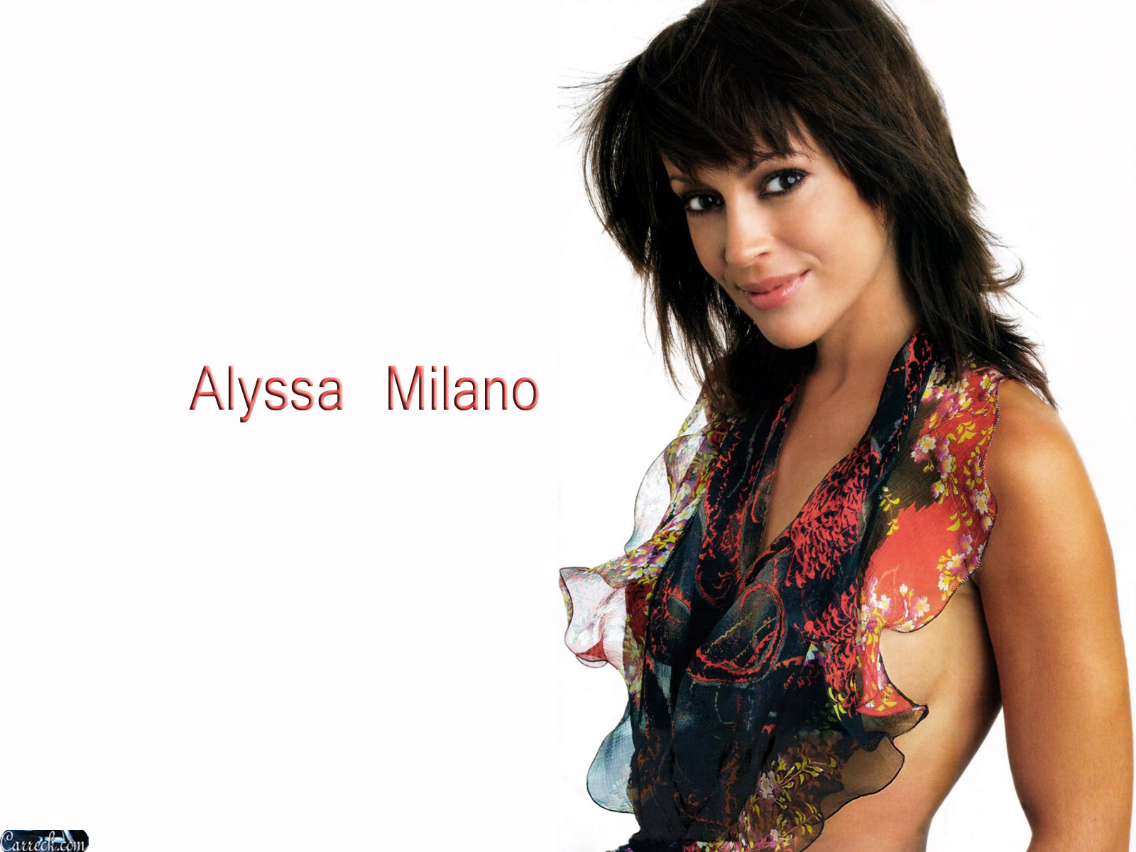 Alyssa Milano Wallpapers