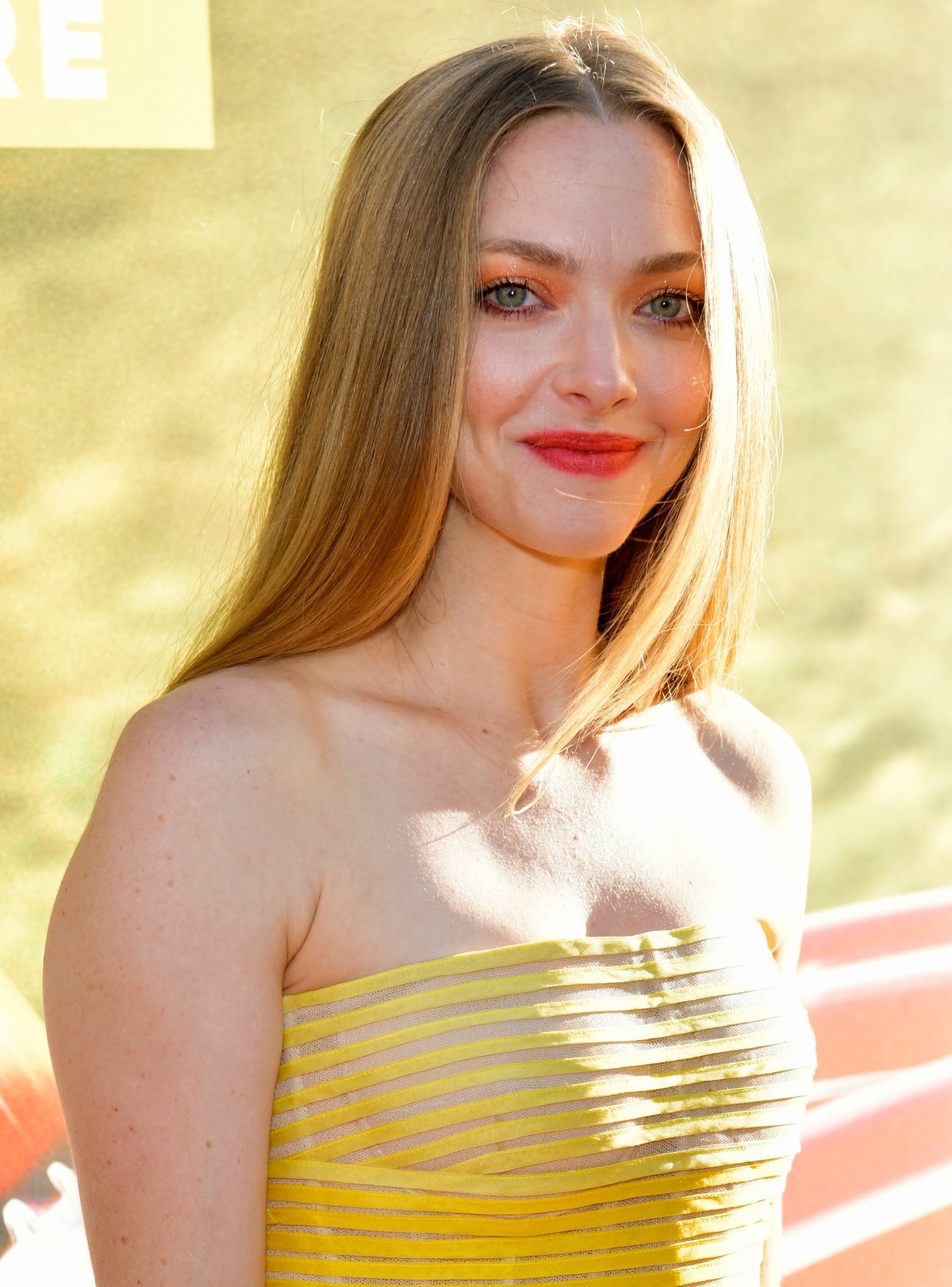 Amanda Seyfried Portrait 2019 Wallpapers