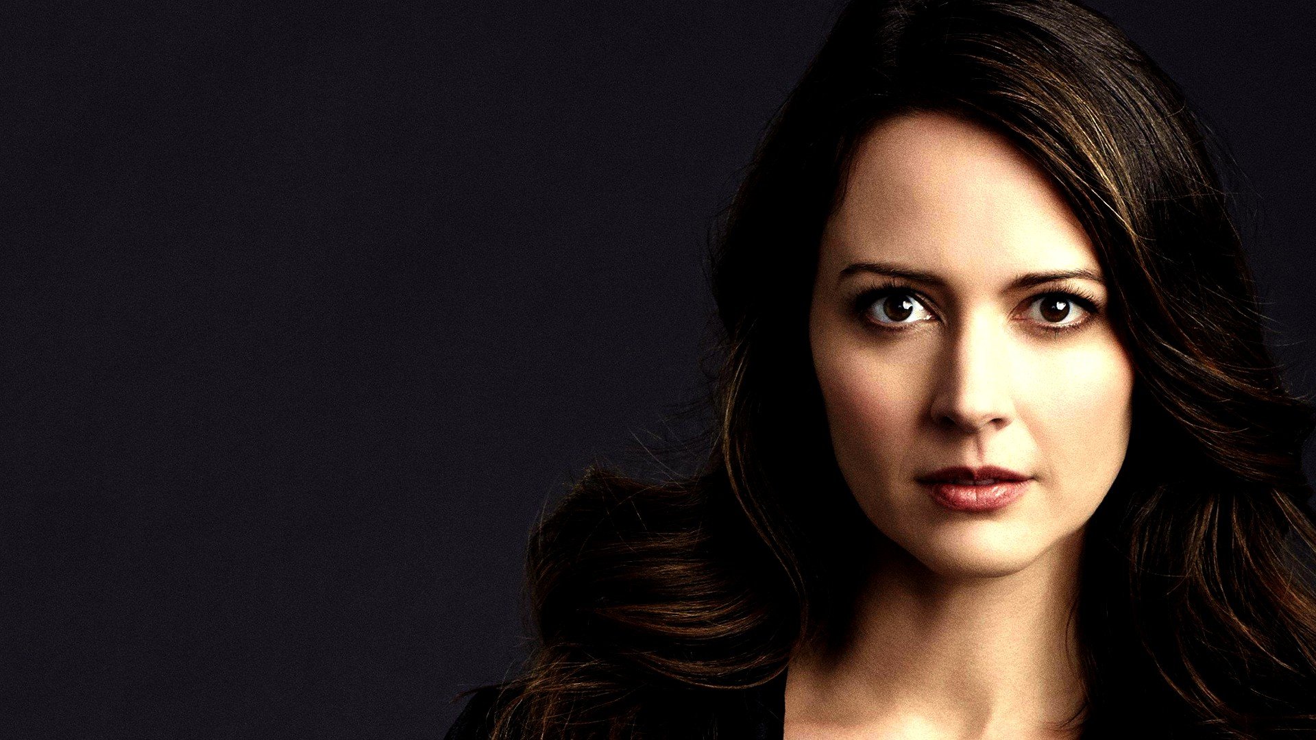 Amy Acker Wallpapers