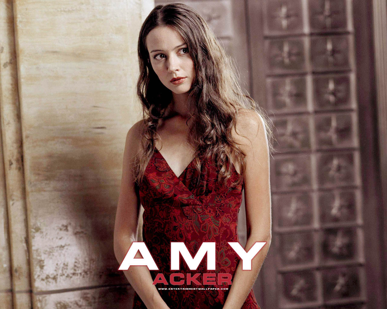 Amy Acker Wallpapers