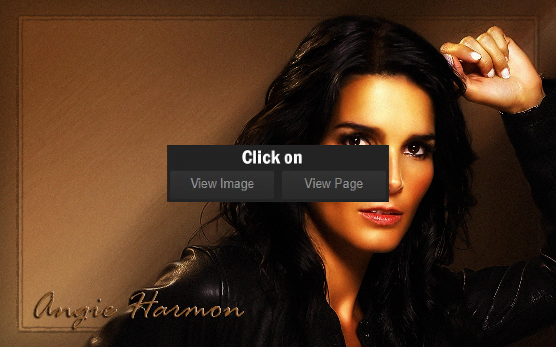 Angie Harmon Wallpapers