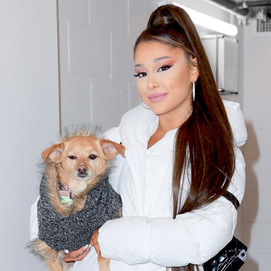 Ariana Grande New 2020 Wallpapers