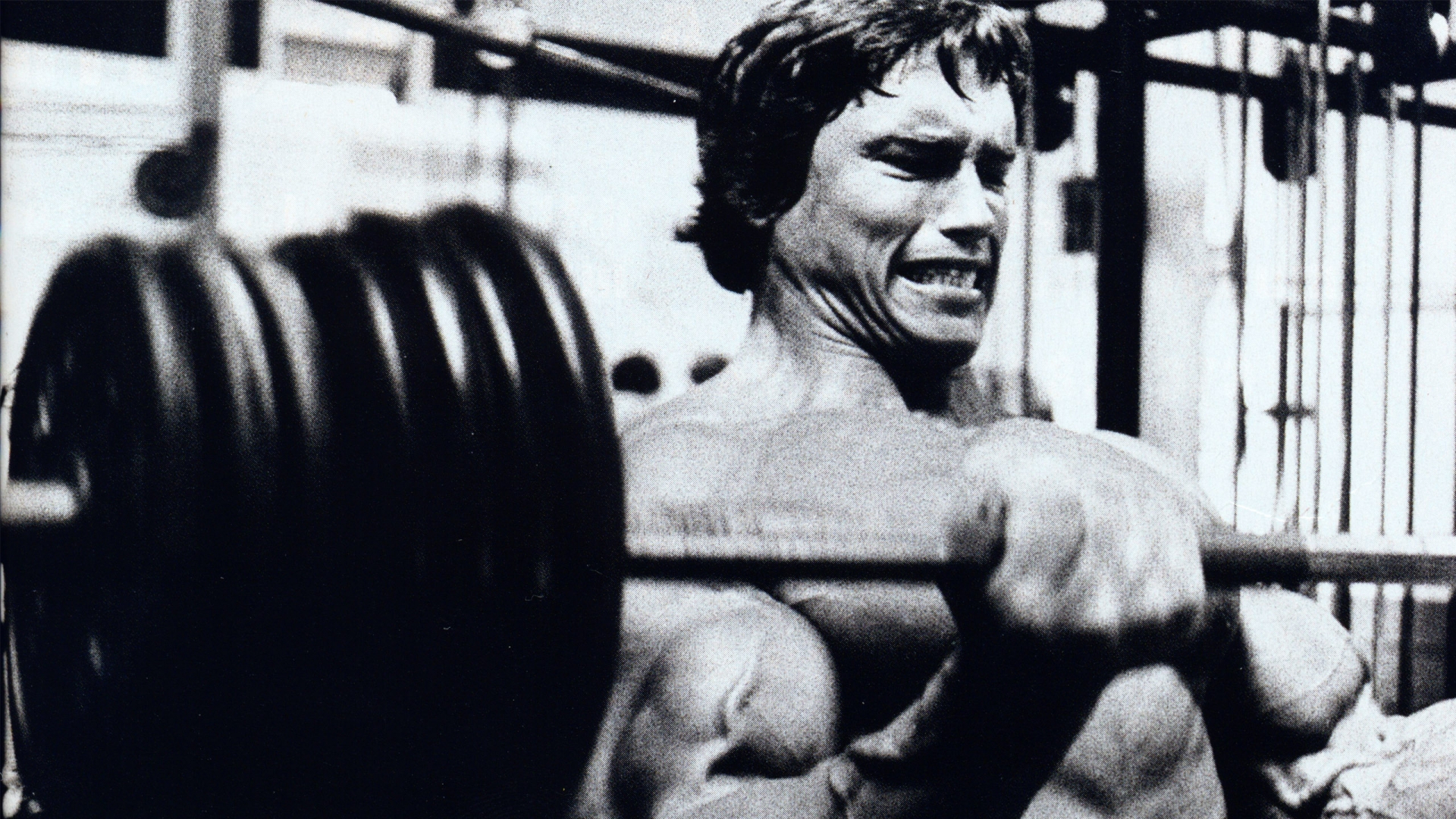 Arnold Schwarzenegger Wallpapers