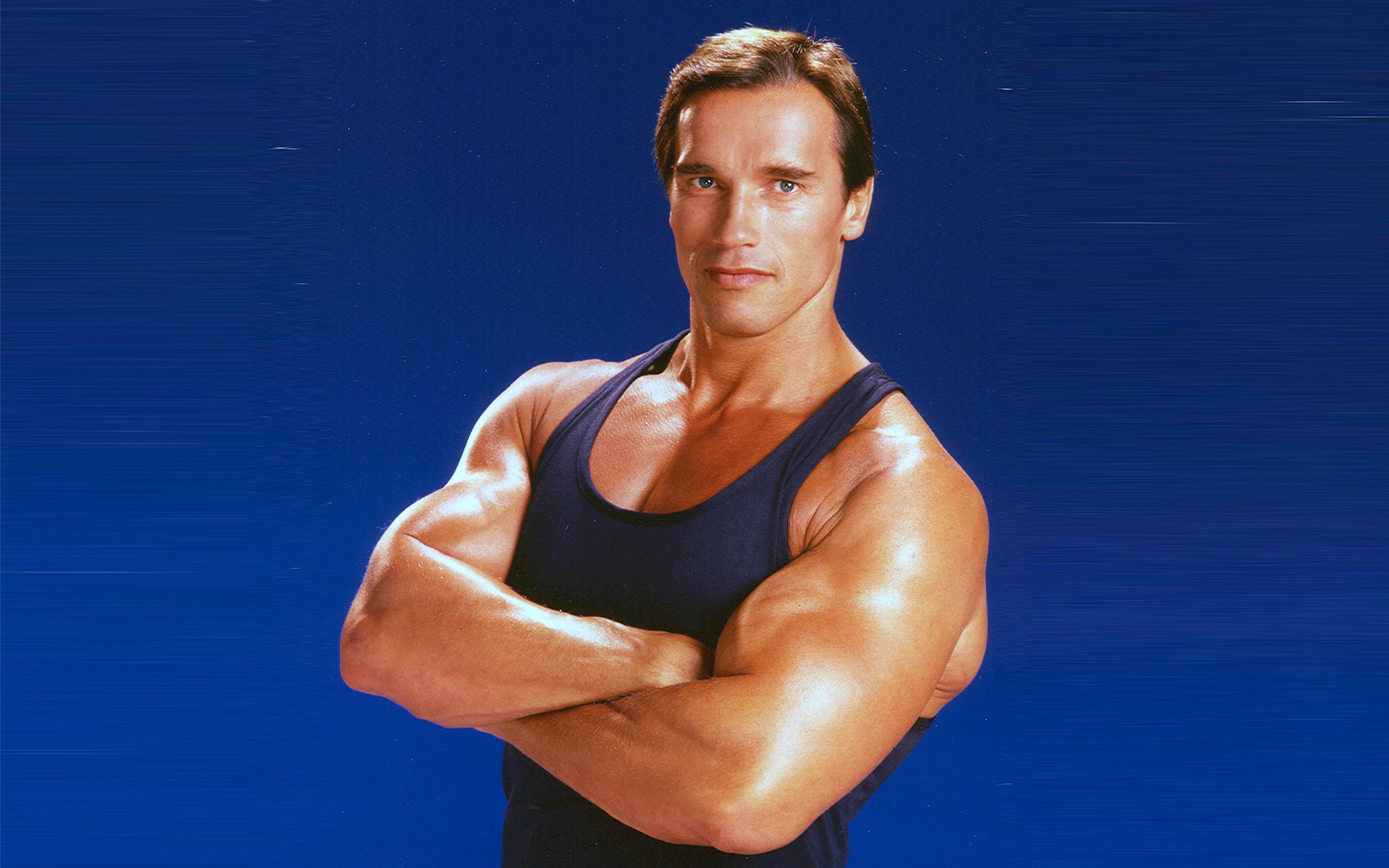 Arnold Schwarzenegger Wallpapers