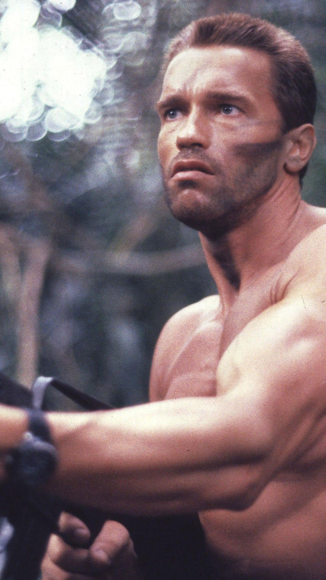 Arnold Schwarzenegger Wallpapers