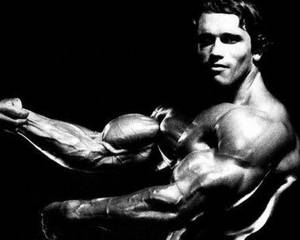 Arnold Schwarzenegger Wallpapers